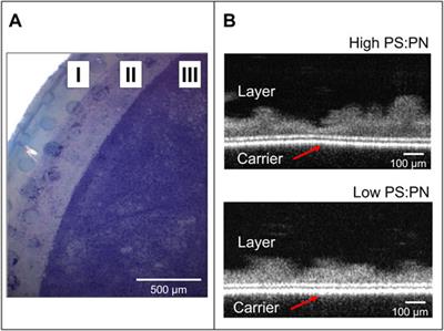 Hydraulic Resistance and Macromolecular Structure of Aerobic and Anaerobic Mixed-Culture Extracellular Polymeric Substances Gel Layers: Opportunities and Challenges